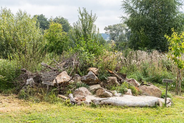 Reptilienburg | © SONNENTOR